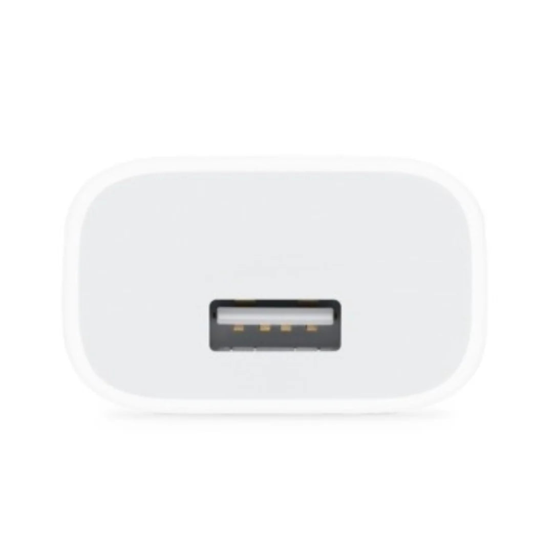 Apple iPhone 5W Mobile Charger With Lightning To Usb Charge and Data Sync Lightning Cable 1M White
